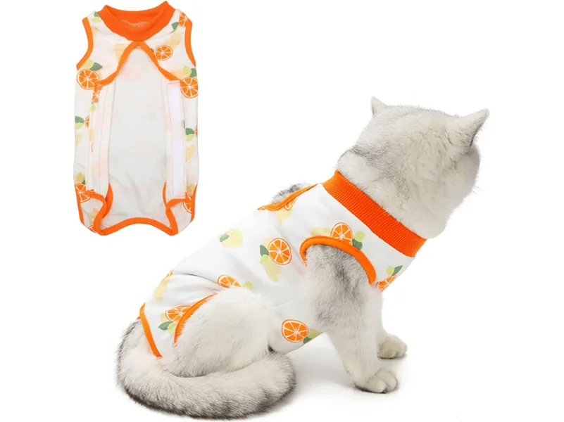 Pet Clothes Orange